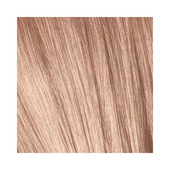 Schwarzkopf Igora - Royal - 9,5-49