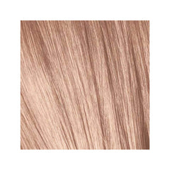 Schwarzkopf Igora - Royal - 9,5-49