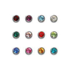 Titanium Assorted Birthstones Studs