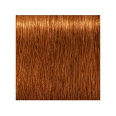 Schwarzkopf Igora - Royal Absolutes - 7-70