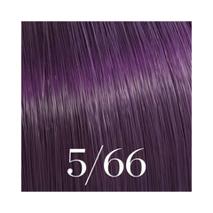Color Touch 5/66