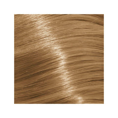 Schwarzkopf Igora - Royal Absolutes - 8-50