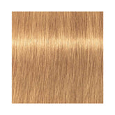 Indola Permanent Caring Color - Natural & Essentials - 8.3