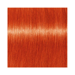 Indola Permanent Caring Color - Red & Fashion - 9.44