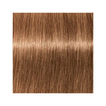 Schwarzkopf Igora Vibrance 7-65 Medium Blonde Chocolate Gold