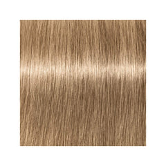 Schwarzkopf Igora Vibrance 8-0 Light Blonde Natural