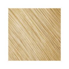 Colorance Gloss 10B