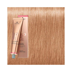 BLONDME - Lifting Biscuit