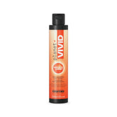 NEW OSMO - Planet Vivid - Halley's Comet