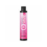 NEW OSMO - Planet Vivid - Big Bang
