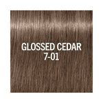 Schwarzkopf BlondMe Glow Toner Glossed Cedar 60ml