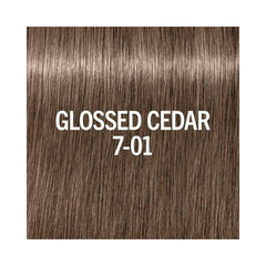 BLONDME - Glow Toner - GlossedCedar