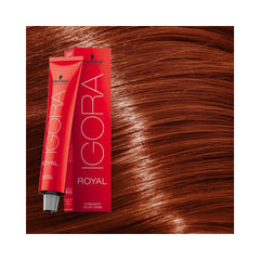 Schwarzkopf Igora - Royal - 6-77