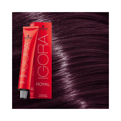 Schwarzkopf Igora - Royal - 6-99