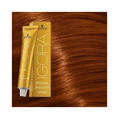 Schwarzkopf Igora - Royal Absolutes - 6-70