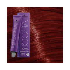 Schwarzkopf Igora - Royal Fashion Lights - L-88