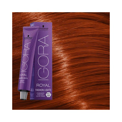Schwarzkopf Igora - Royal Fashion Lights - L-77