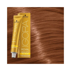 Schwarzkopf Igora - Royal Absolutes Age Blend - 7-560