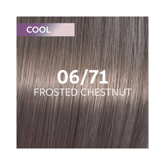 Shinefinity 06/71 - Frosted Chestnut