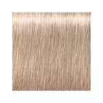 Schwarzkopf Igora - Royal Highlifts - 12-19 Special Blonde Cendre Violet 60ml