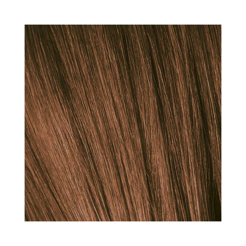 Schwarzkopf Igora - Royal - 6-65