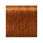 Schwarzkopf Igora Royal Absolutes 7-70 Medium Blonde Copper 60ml