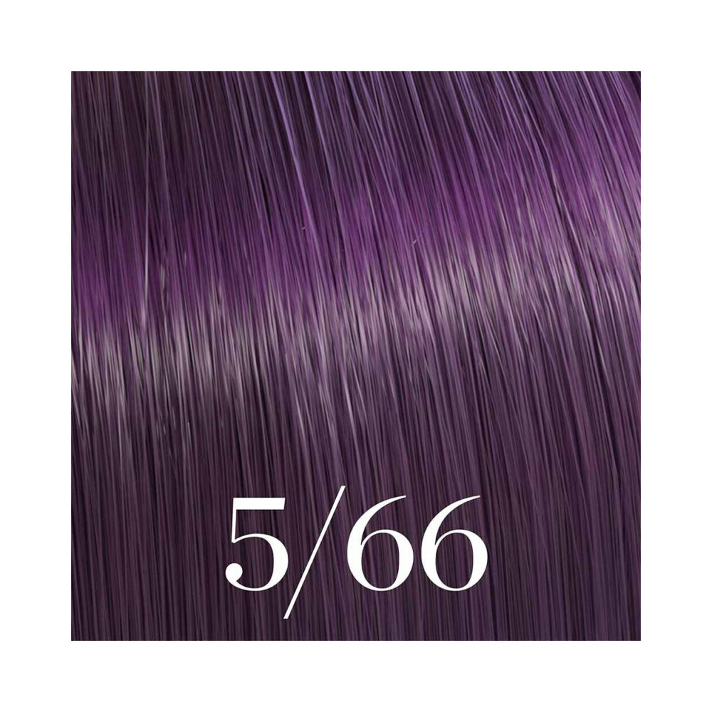 Color Touch 5/66