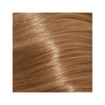 Schwarzkopf Igora Royal Absolutes 9-40 Extra Light Blonde Beige 60ml