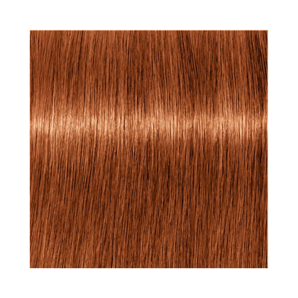 Indola Permanent Caring Color - Red & Fashion - 6.4