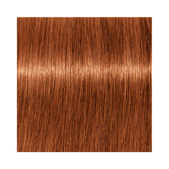 Indola Permanent Caring Color - Red & Fashion - 6.4