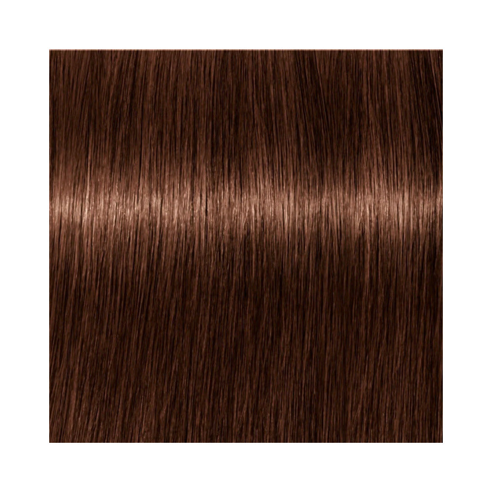 Indola Permanent Caring Color - Red & Fashion - 4.4