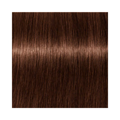Indola Permanent Caring Color - Red & Fashion - 4.4