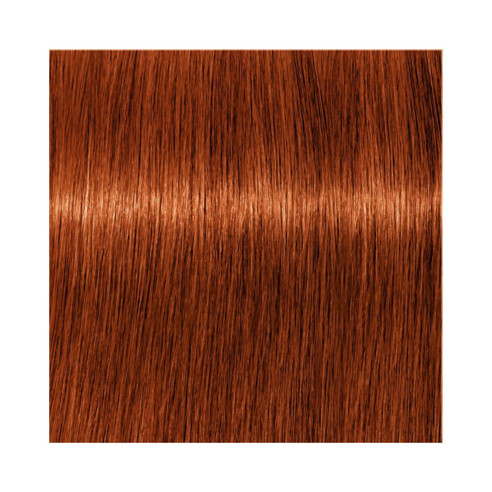 Indola Permanent Caring Color - Red & Fashion - 6.44
