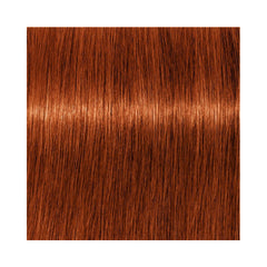 Indola Permanent Caring Color - Red & Fashion - 6.44