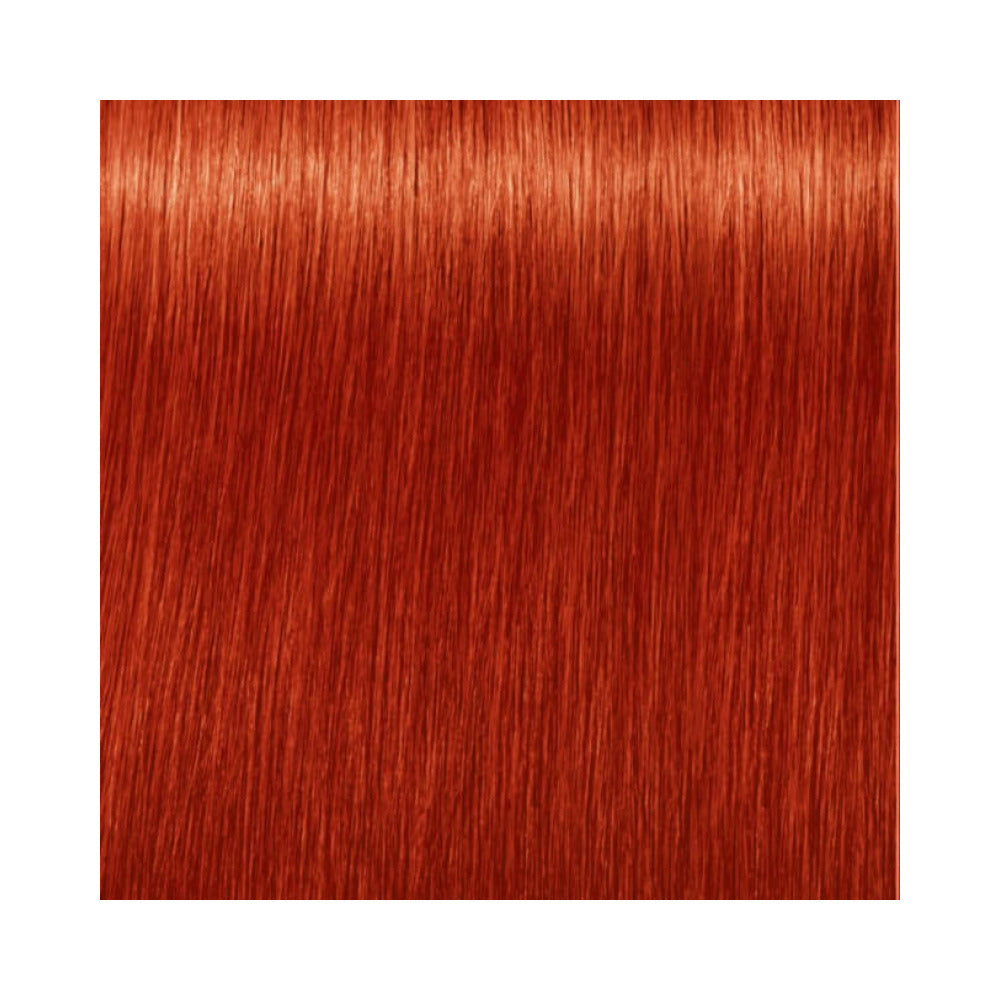 Indola Permanent Caring Color - Red & Fashion - 8.44X