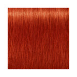 Indola PCC Fashion Permanent Hair Colour 8.44X Light Blonde Extra Copper 60ml