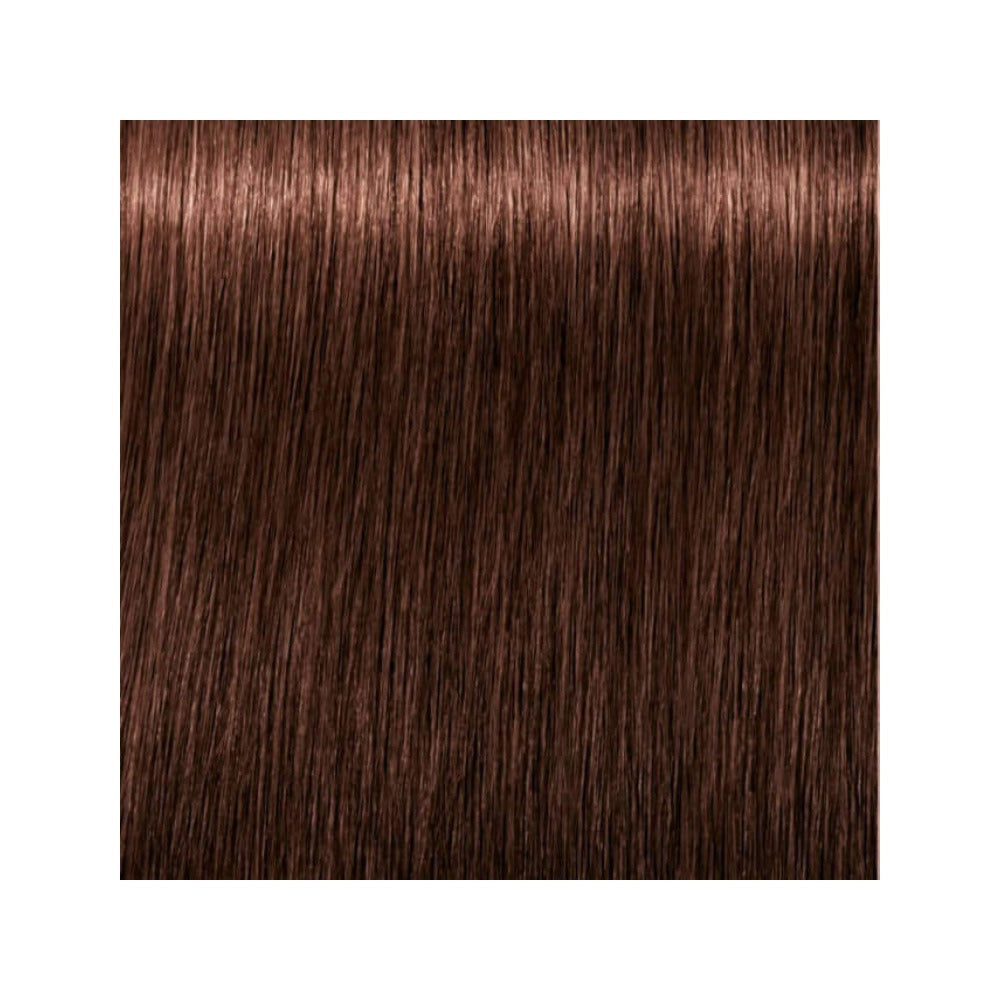 Indola Permanent Caring Color - Red & Fashion - 5.56