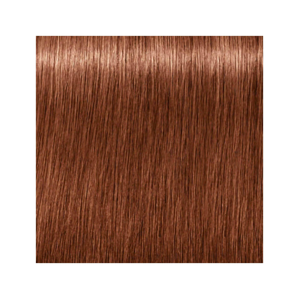 Indola Permanent Colour Creme 7.38+ Medium Blonde Gold Chocolate 60ml
