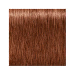 Indola PCC Intense Coverage Permanent Hair Colour 7.38+ Medium Blonde Gold Chocolate 60ml