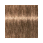 Schwarzkopf Igora Vibrance 8-46 Light Blonde Beige Chocolate