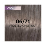 Wella Professionals Shinefinity 06/71 - Frosted Chestnut Zero Lift Glaze 60ml