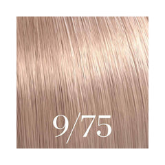 Color Touch 9/75