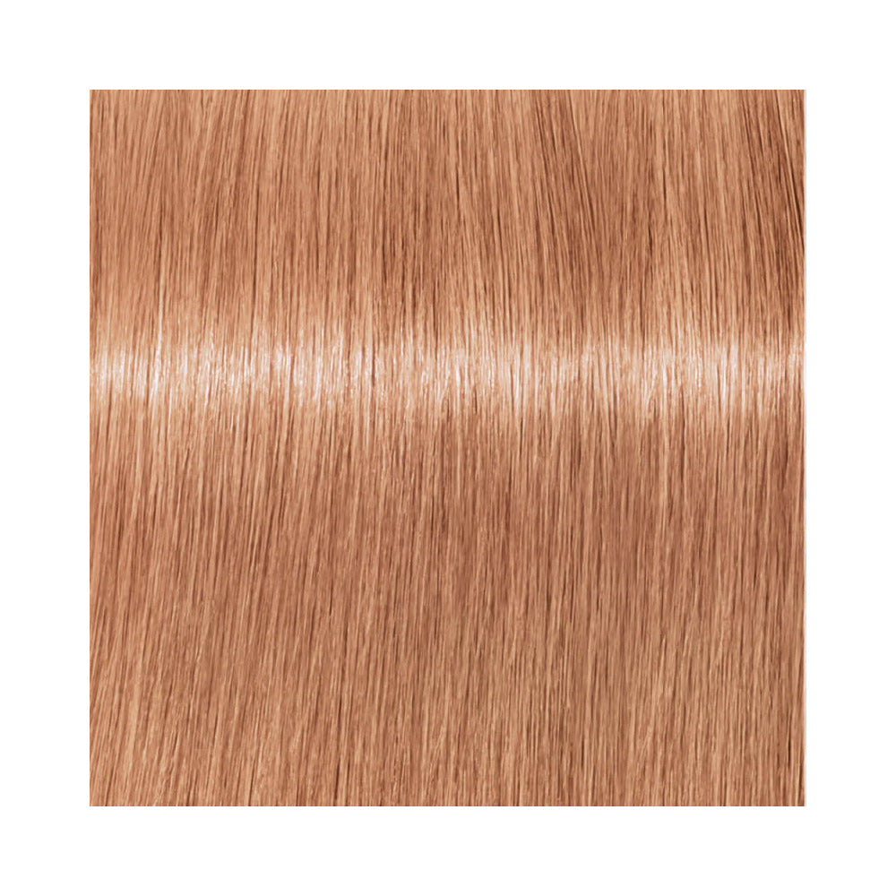 BLONDME -  Deep Tone Peach Sorbet