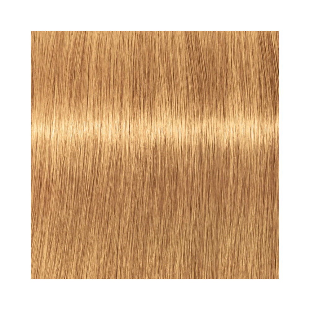 IGORA VIBRANCE - Light Blonde Gold Extrs 9-55