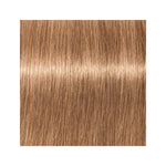 Schwarzkopf Igora Vibrance 9-65 Extra Light Blonde Chocolate Gold