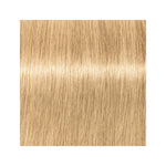 Schwarzkopf Igora Vibrance 10-5 Gold Soft Toner