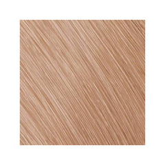 Colorance Can 10GP