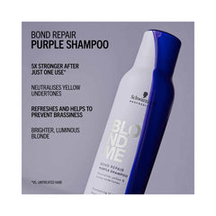 BLONDME CARE - All Blondes - Purple Shampoo 300ml