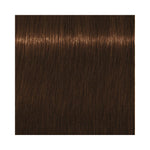 Schwarzkopf Igora Royal Absolutes 7-460 Medium Blonde Beige Chocolate 60ml
