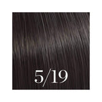 Wella Professionals Color Touch 5/19 Light Brown Ash Cendré - Demi-Permanent Hair Colour - 60ml